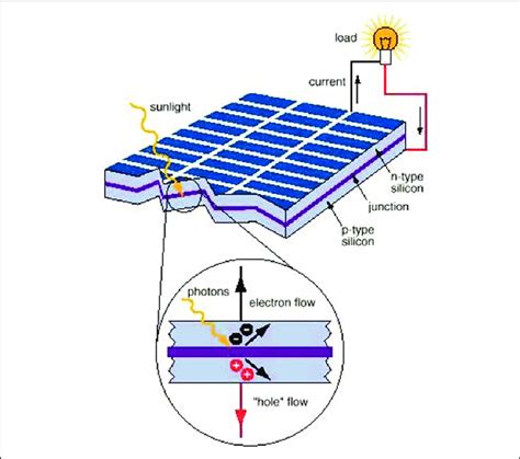 Schematic of the basic structure of a silicon solar cell. Adapted from ...