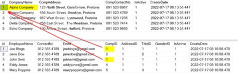 SQL Server CRUD Operation Examples