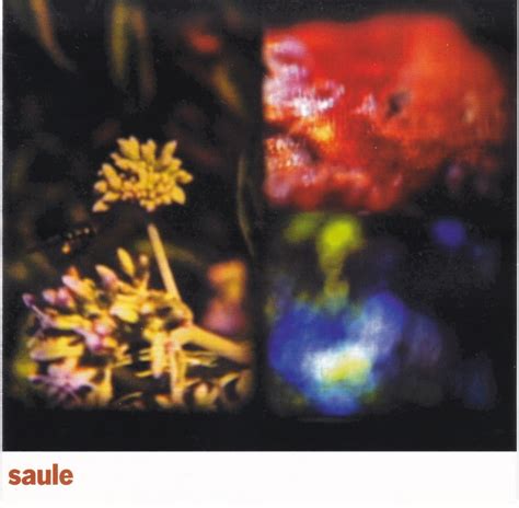 Saule | Saule | Sub Rosa Label