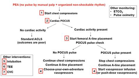 Management of PEA: in need of resuscitation? - EMOttawa Blog