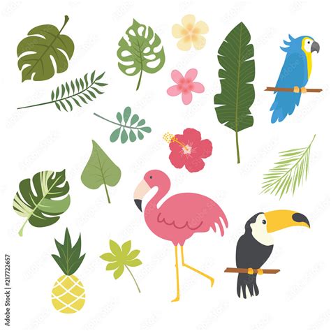 Hand drawing tropical and exotic forest stuff Stock Vector | Adobe Stock