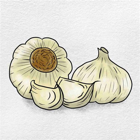 Garlic Drawing - HelloArtsy