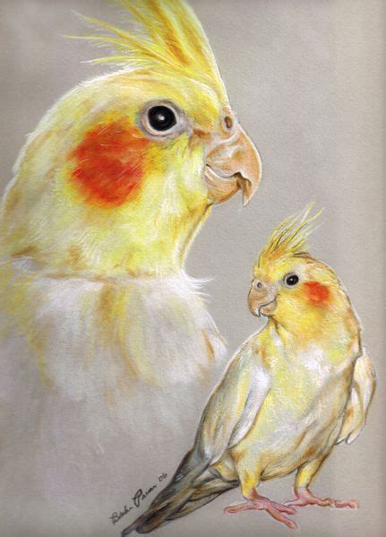 Conrad the Cockatiel | Parrots art, Birds painting, Cockatiel
