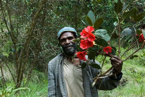 Conservation news on New Guinea