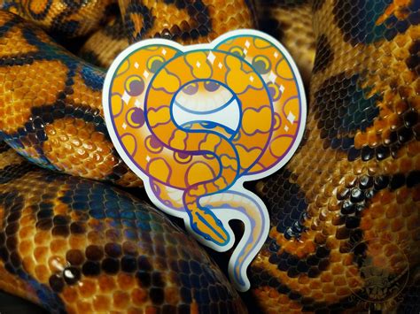 Brazilian Rainbow Boa Morphs Vinyl Stickers Snake Stickers | Etsy