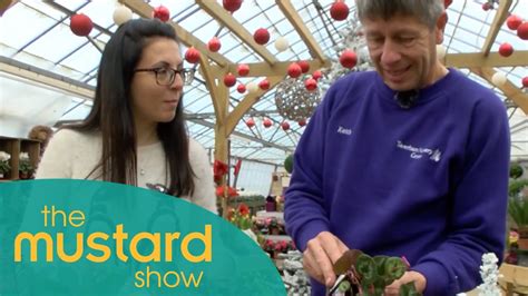 Ellen Mary checks out the Christmas displays at Taverham garden centre ...