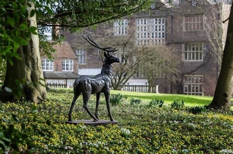 Snowdrop Days: Goldsborough Hall opens its grounds for visitors to enjoy the early spring snowdrops