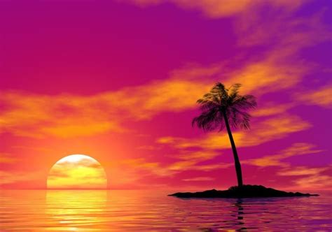 Scenic Purple Modern Palm Tree | Palm tree sunset, Sunset painting, Sunset images