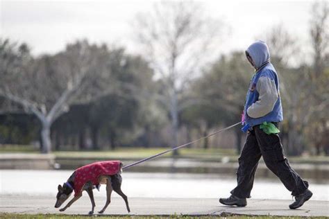 Slidell, Baton Rouge Break Low Temperature Records in Louisiana's Early Freeze, Meteorologists ...