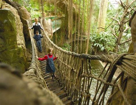 Omaha's Henry Doorly Zoo up for national recognition