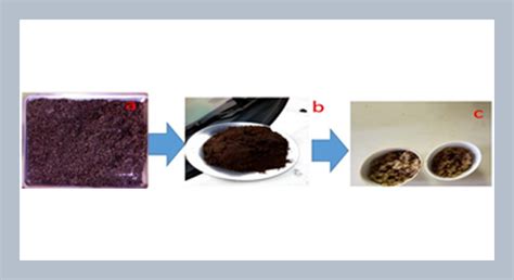 Turbidity reduction of abattoir wastewater by the coagulation ...