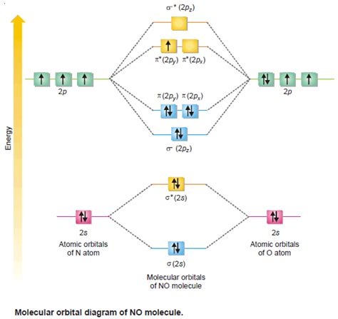 Molecular Orbitals for Heteronuclear Diatomic Molecules (MO Theory ...