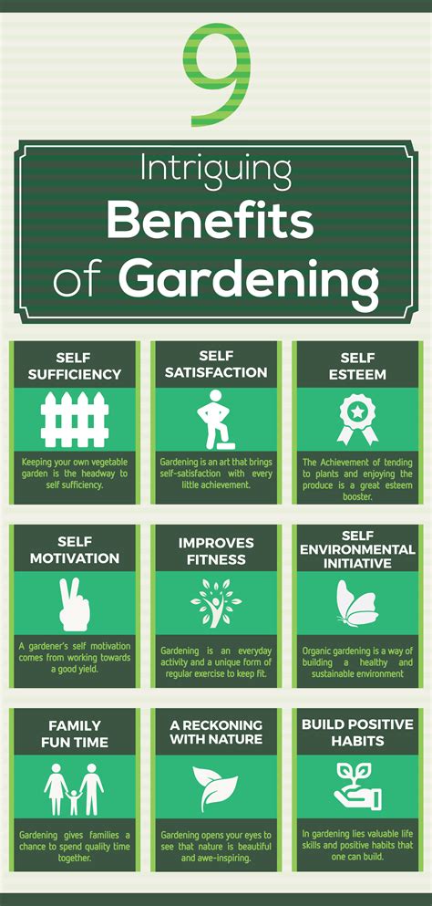 Intriguing Benefits of Gardening