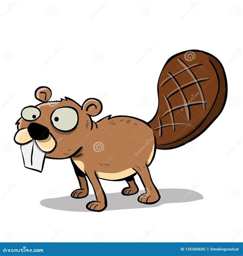 Beaver Teeth Rodent Wool Skin Dam Royalty-Free Stock Image | CartoonDealer.com #59604652