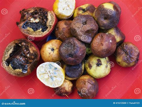 Lot of Mold Vegetables and Fruits Stock Photo - Image of nature ...