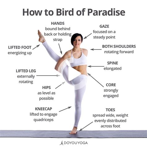 Bird of Paradise 101! 🌺 What are your favorite cues for this pose? 😍 # ...