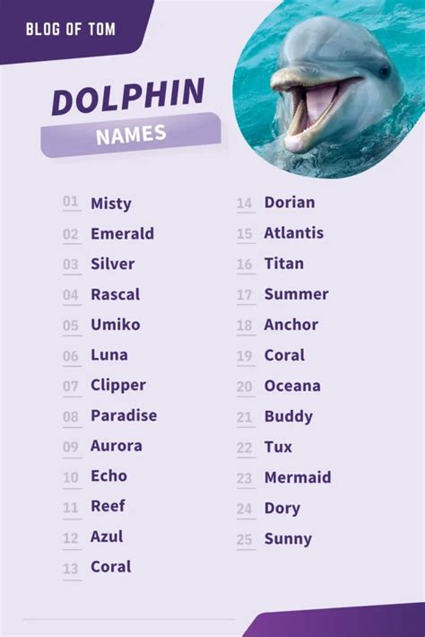 247 Dolphin Names (Best, Cute, And Funny Naming Ideas)