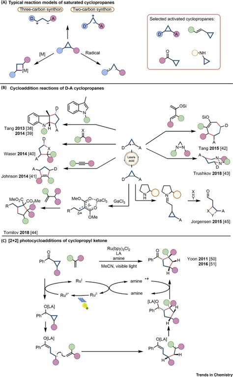 Recent Developments in Cyclopropane Cycloaddition Reactions: Trends in Chemistry