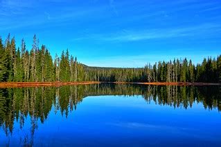 Mirror, Mirror... | A forest of subalpine fir, mountain heml… | Flickr