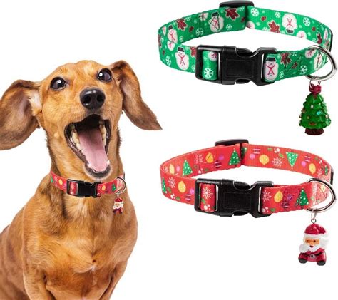 Dog Collar Bells - Looking For Dog Collar Bell Click Here And Know More