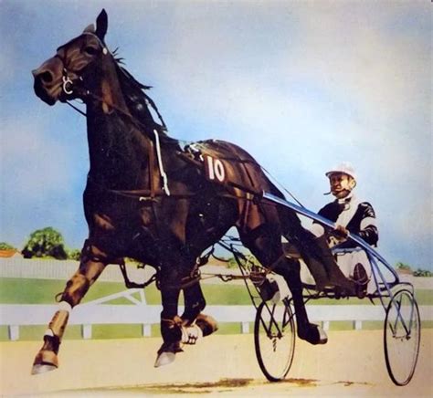 Harness Racing,Addington-1963 New Zealand Cup (Cardigan Bay-P.T ...