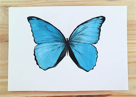 Butterfly Painting