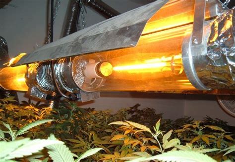 Best HID Grow Lights and Reflectors – My Indoor Grow Systems