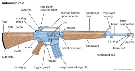 Parts Of A Rifle Labeled