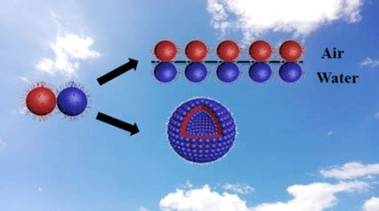 Amphiphilic Janus Twin Single‐Chain Nanoparticles - Ji - 2018 - Chemistry – A European Journal ...