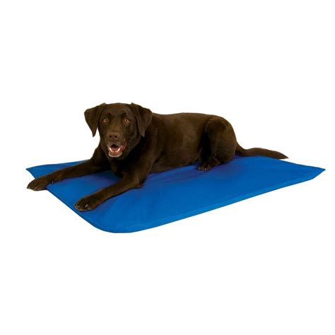 K&H Pet Products Cool Bed III Large Blue Cooling Dog Bed-1790 - The ...