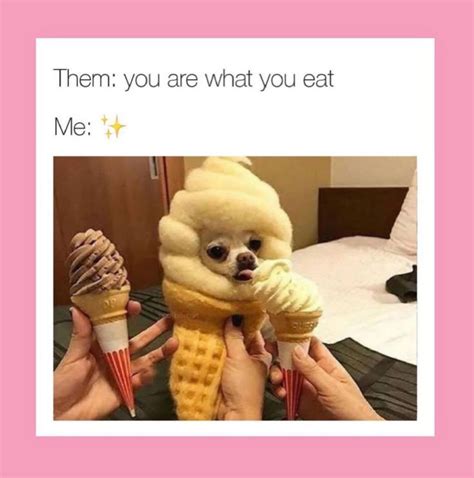 someone is holding two ice cream cones with a dog in it and the caption reads, me on a diet