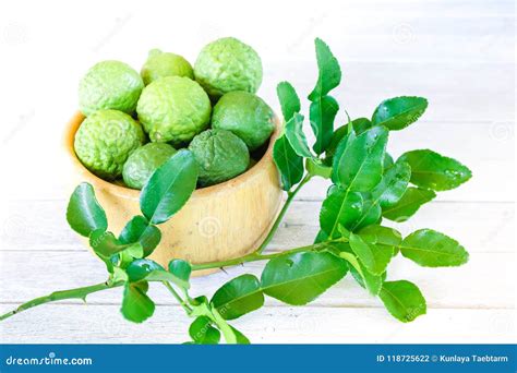 Fresh bergamot fruit. stock photo. Image of background - 118725622