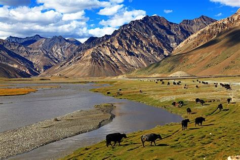 Explore the Divine Beauty of the Himalayas with these Exciting Summer ...