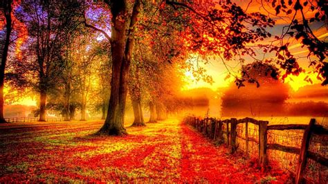 Thanksgiving Scenery Wallpaper