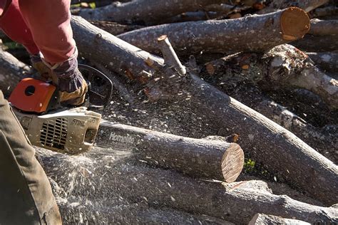 chainsaw, saw, tool, power, cutting, tree, branch, sawdust, human body part, one person | Pxfuel