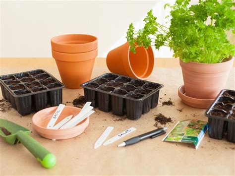 Starting Herbs From Seed: How And When To Start Herb Seeds | Gardening Know How