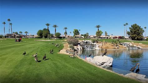 9 Best Golf Courses in Palm Desert, CA (2024)