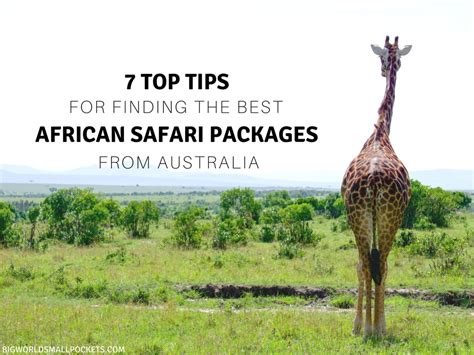 African Safari Packages From Australia : 7 Top Tips for Finding the ...