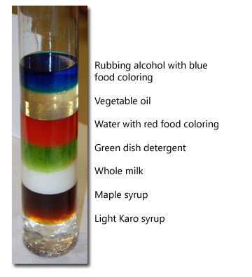 Density Experiment