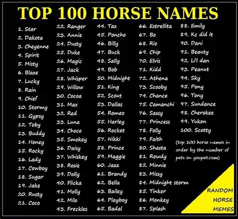 Pin by Tinka Wilson on Horse Camp Ideas | Horse names, Horse show names, Horse names unique