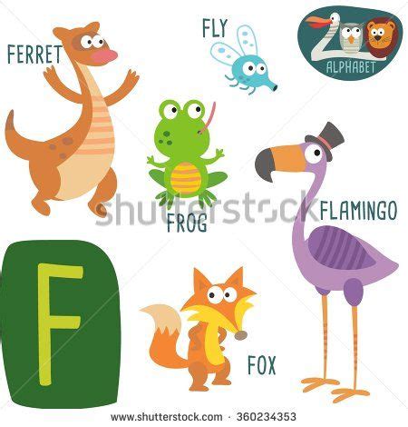 Cute zoo alphabet in vector.F letter. Funny cartoon animals: Flamingo ...