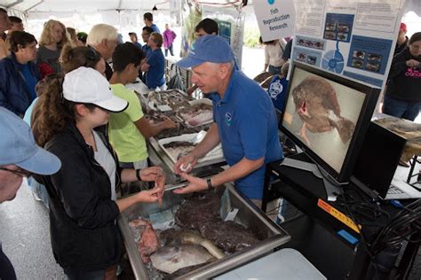 2023 Woods Hole Science Stroll at NOAA Fisheries | NOAA Fisheries