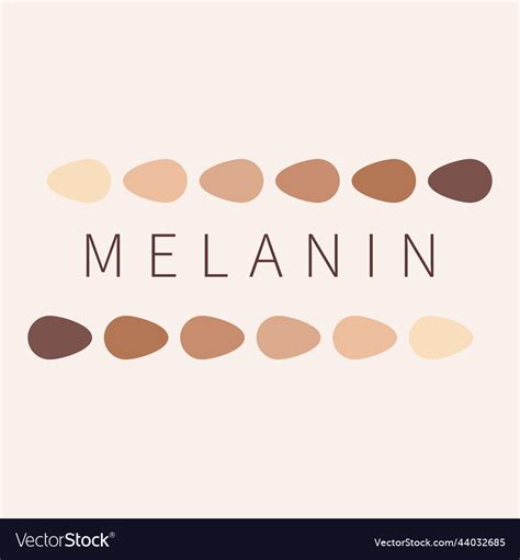 Melanin skin tone color palette scheme design Vector Image