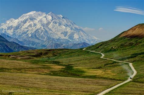 Whoa, Denali! 6 Things to do at America's Favorite National Park