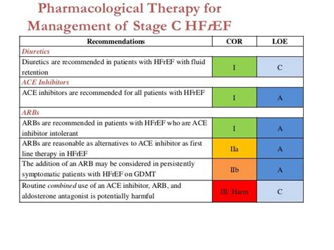 CHF guidelines 2013seminar