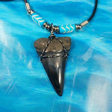 Museum Quality hastalis (extinct Mako) Shark Tooth Necklace · L1: 1.75 L2: 1.70 · MegaTeeth