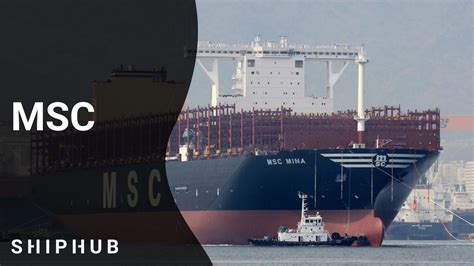 World’s biggest container ship MSC Irina | ShipHub