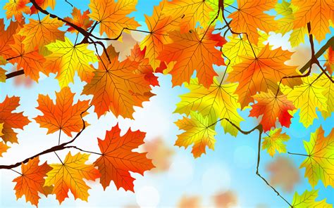 Fall Leaves Falling Wallpaper