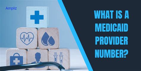 Medicaid Provider Numbers: Ensuring Quality Healthcare Services — [Ampliz Guide] | by Neel S ...