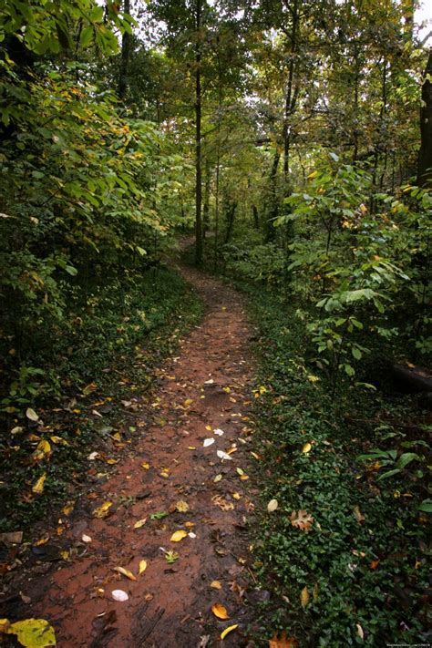 Lost River Cave | Bowling Green, Kentucky Cave Exploration | RealAdventures